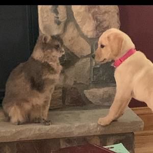 Meet your Posher, Gina